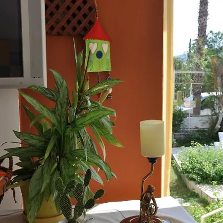 Tuncer Garden מלון
