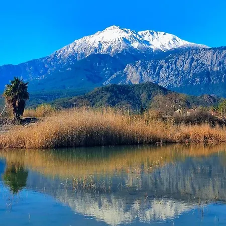Tuncer Garden מלון