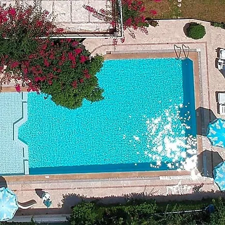 Tuncer Garden
