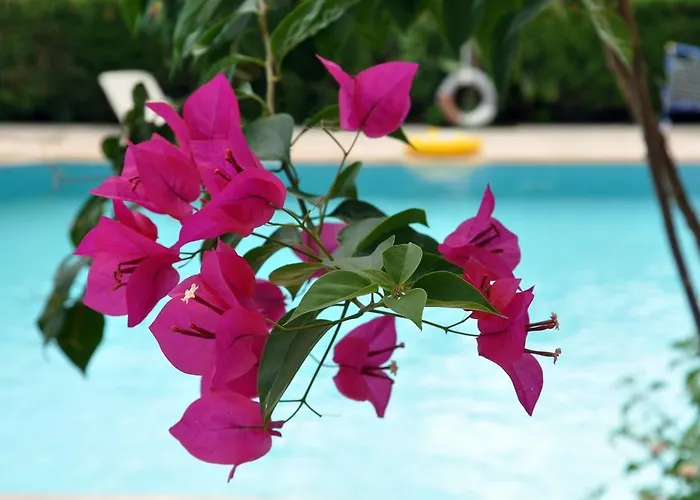 Hotel Tuncer Garden 3*
