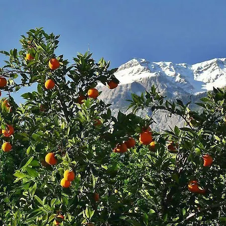 Tuncer Garden Кемер