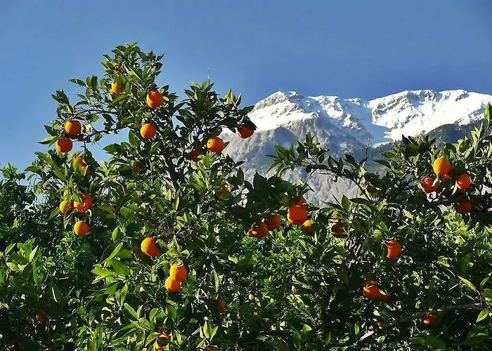 Tuncer Garden كمر